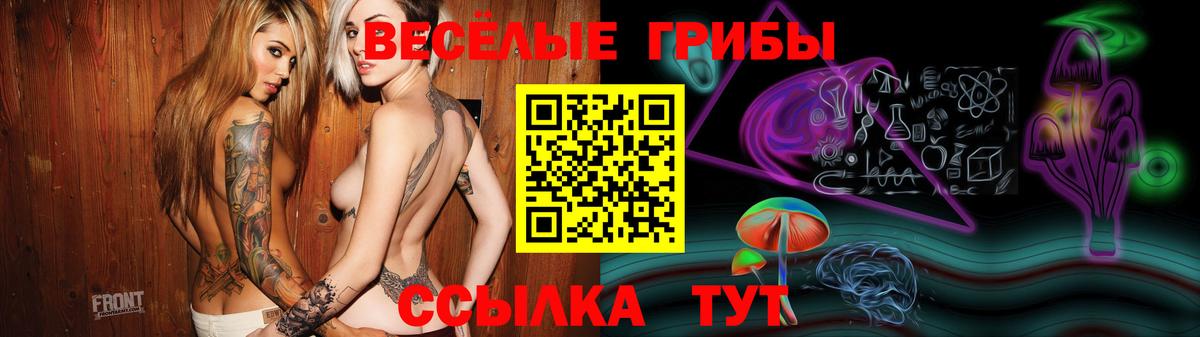 Галлюциногенные грибы прущие грибы  Вход с VPN  что такое   Галлюциногенные грибы мицелий  Электрогорск 