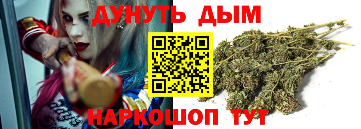 Электрогорск  Конопля план  Каннабис Bruce Banner  Каннабис Amnesia  Вход с VPN 
